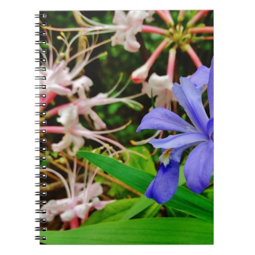Crested Dwarf Iris Notebook