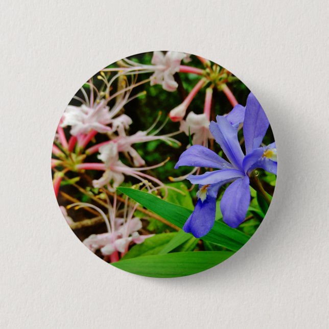 Crested Dwarf Iris Pinback Button (Front)
