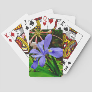 Crested Dwarf Iris Poker Cards