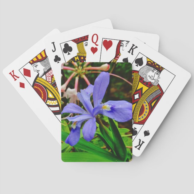 Crested Dwarf Iris Poker Cards (Back)