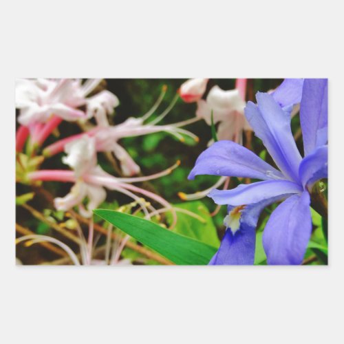 Crested Dwarf Iris Rectangular Sticker