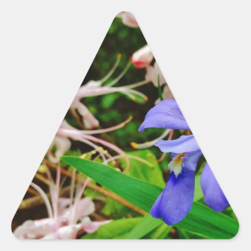 Crested Dwarf Iris Triangle Sticker