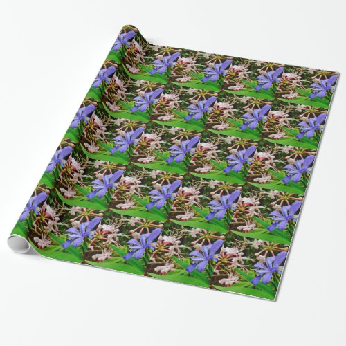 Crested Dwarf Iris Wrapping Paper