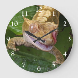 Crested Gecko Large Clock