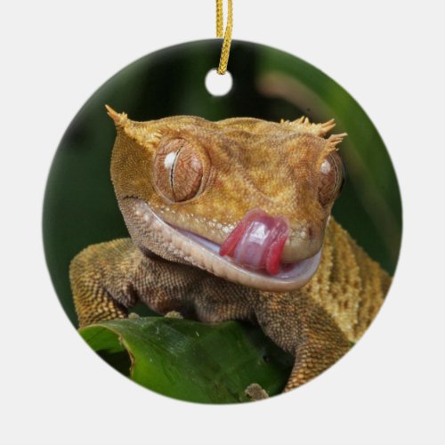 Crested Gecko Lizard Ceramic Ornament