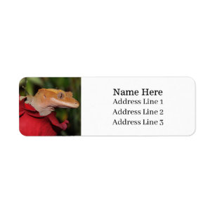 Crested Gecko Lizard on a Rose Return Address Label