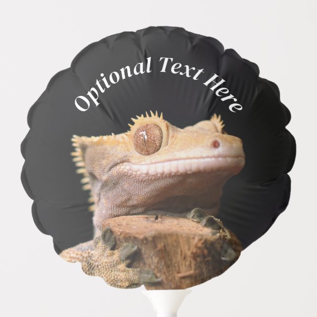 Crested Gecko Lizard on black Balloon (Front)