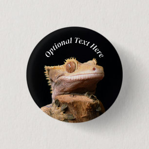 Crested Gecko Lizard on black Button