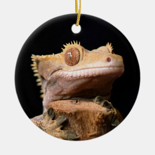 Crested Gecko Lizard on black Ceramic Ornament