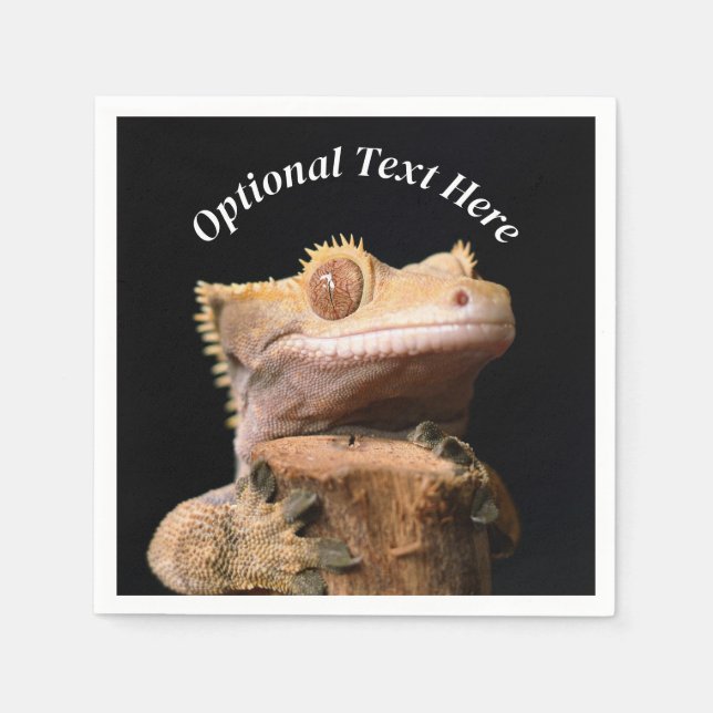 Crested Gecko Lizard on black Napkins (Front)