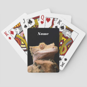 Crested Gecko Lizard on black Poker Cards