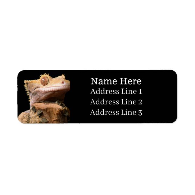 Crested Gecko Lizard on Black Return Address Label (Front)