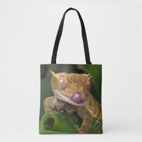 Crested Gecko Lizard Tote Bag