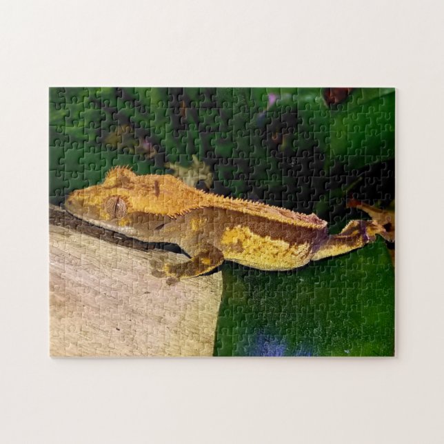 Crested Gecko on a Leaf Puzzle (Horizontal)
