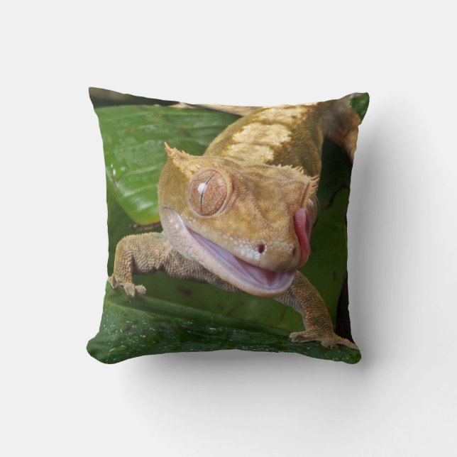 Crested Gecko Throw Pillow (Front)
