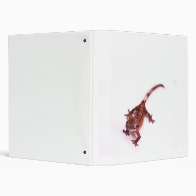 Crested Gecko Walking on an angle 3 Ring Binder (Background)