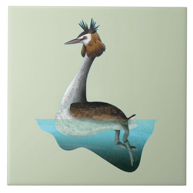 Crested Grebe Ceramic Tile (Front)