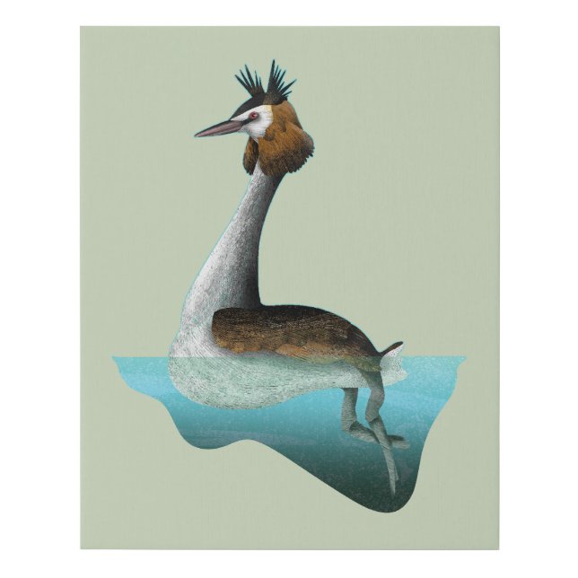 Crested Grebe Faux Canvas Print (Front)