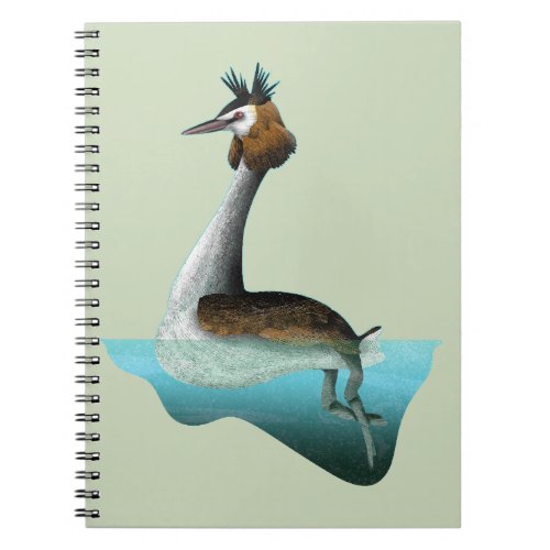 Crested Grebe Notebook