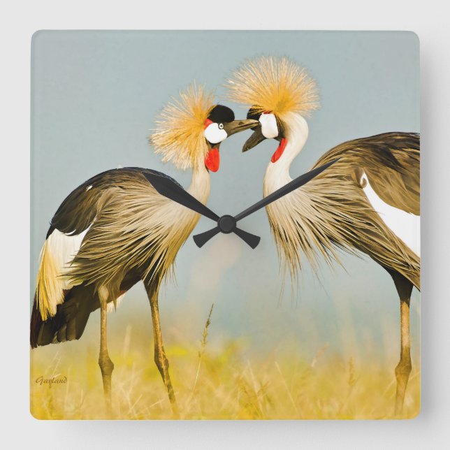 Crested Herons Square Wall Clock (Front)