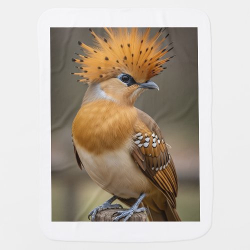 Crested Hoopoe Bird Blanket