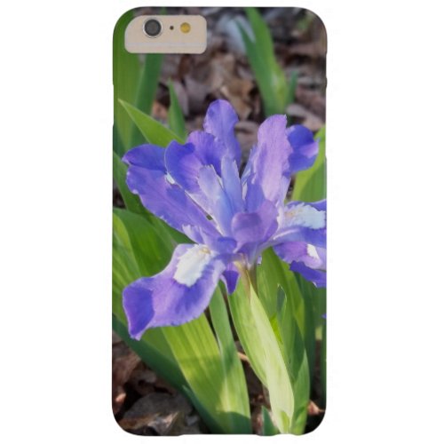 Crested Iris Barely There iPhone 6 Plus Case