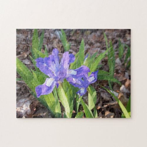 Crested Iris Jigsaw Puzzle