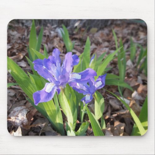 Crested Iris Mouse Pad