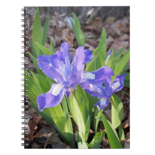 Crested Iris Notebook