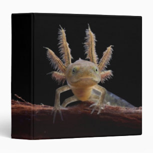 Crested newt larve 3 ring binder