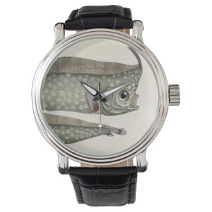 Crested Oarfish Fish, Vintage Marine Aquatic Life Watch