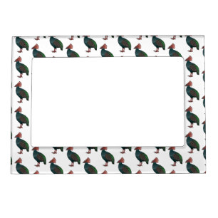 Crested partridge bird cartoon illustration magnetic frame