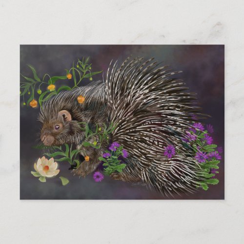 Crested Porcupine Bouquet  Nature Art Postcard