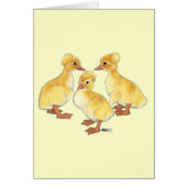 Crested White Ducklings (Front)