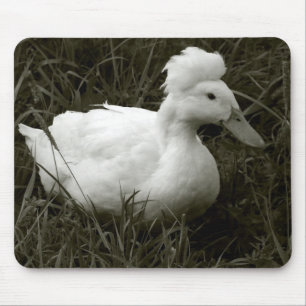 Crestie in Black and White Mouse Pad