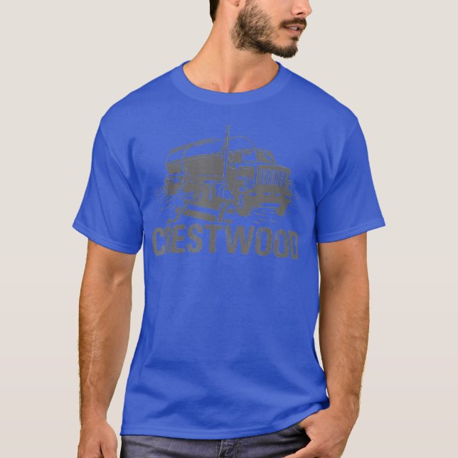 Crestwood Kentucky KY Tourism Semi Stuck on _10 T-Shirt (Front)