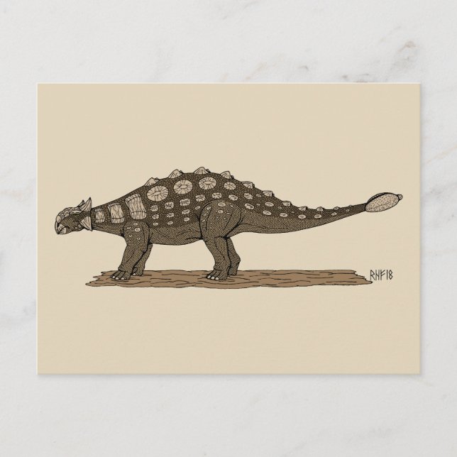 Cretaceous Dinosaur Ankylosaurus Postcard (Front)