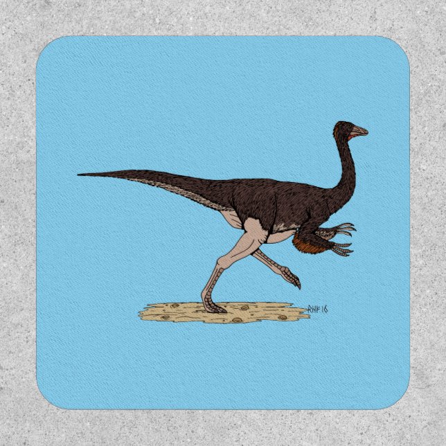 Cretaceous Dinosaur Ornithomimus Patch (Front)