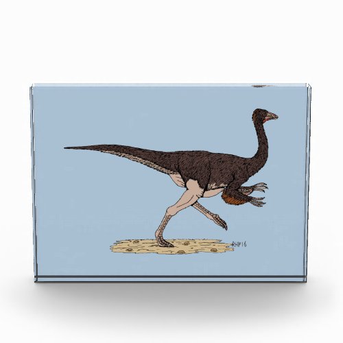 Cretaceous Dinosaur Ornithomimus Photo Block