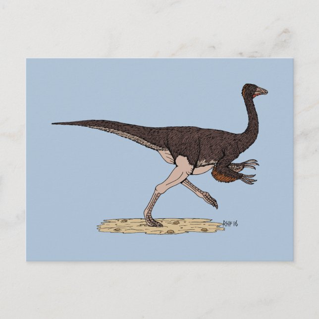 Cretaceous Dinosaur Ornithomimus Postcard (Front)