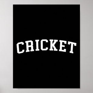 Cricket 1 poster