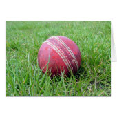 Cricket Ball (Front Horizontal)