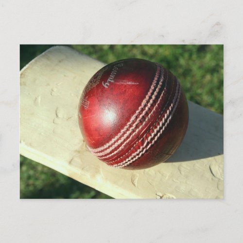 cricket_ball_and_batjpg postcard