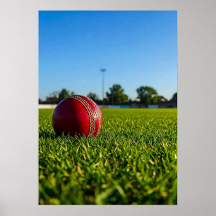 Cricket Ball on Boundary Mark Poster