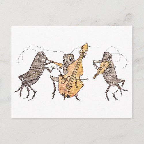 Cricket Band with Horn Cello  Violin Postcard