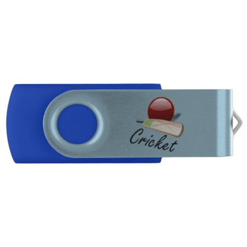 Cricket bat and ball graphic arts design flash drive