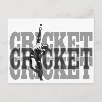 Cricket Bowler Postcard