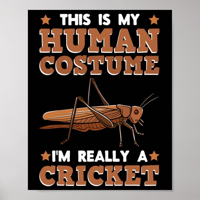 Cricket Breeder Insect Enthusiast Entomologist Hum Poster (Front)