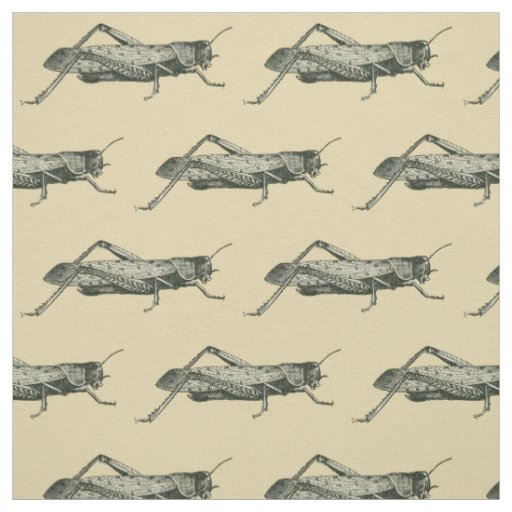 Cricket Bug Pattern Antique Theme Fabric