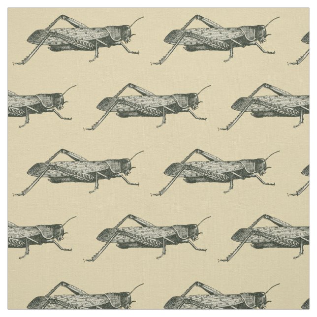 Cricket Bug Pattern Antique Theme Fabric (Swatch)